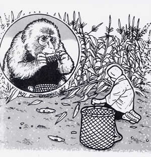 ひとり岩 コイタロー 2