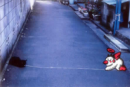 シラフ フォトコラボ